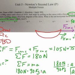 Newton's 3rd law of motion worksheet