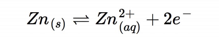 Zn zn2 cell half