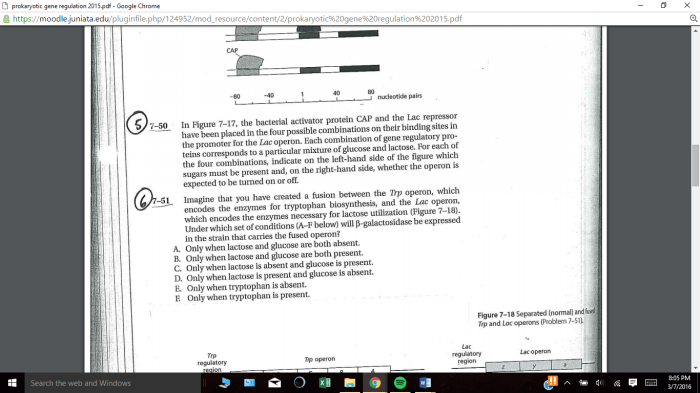 Control of gene expression in prokaryotes pogil answers pdf